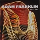 Adam Franklin - Shine A Light