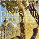 Dinosaur Feathers - Whistle Tips